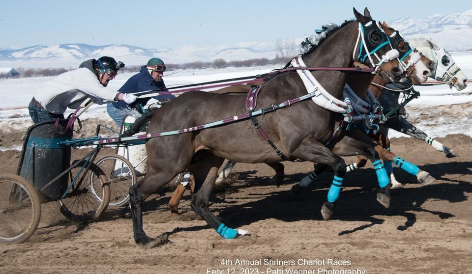 World Chariot racing , Rigby Rodeo Grounds, 16 March to 17 March ...