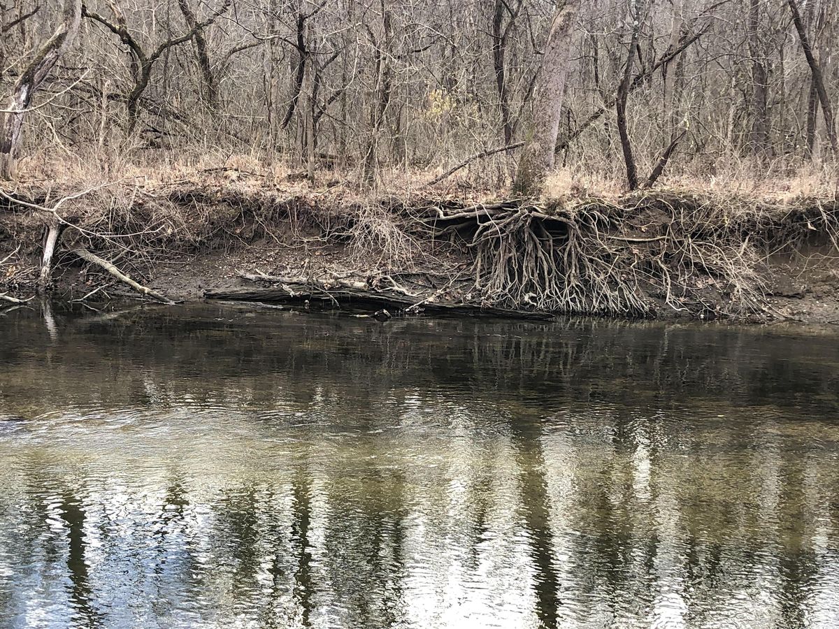 Stream Workshop at Fall Creek