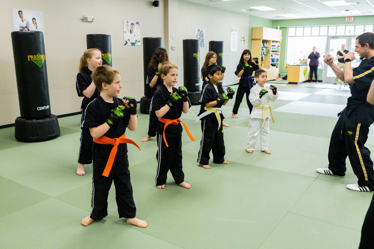 Free Intro to Karate Class! (57 yos), Premier Martial Arts, Burlington