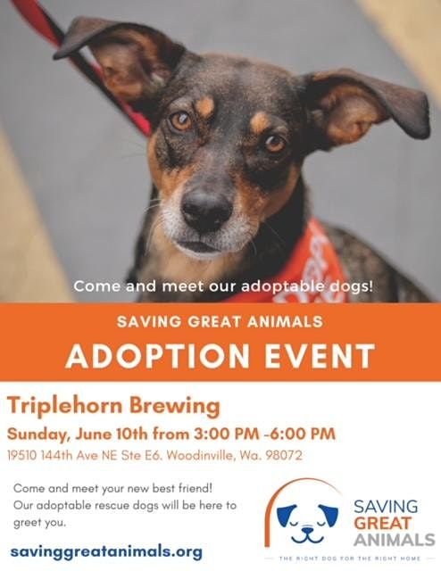 Dog Adoption Event, Saving Great Animals and Triplehorn Brewery!, Triplehorn Brewing Co, Woodinville, July 10 2022 Dog Adoption Event, Saving Great Animals and Triplehorn Brewery!, Triplehorn Brewing Co, Woodinville, July 10 2022