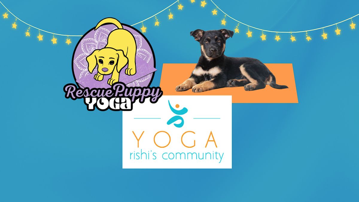 Rescue Puppy Yoga Rishi’s Community Yoga, Rishi's Community Yoga