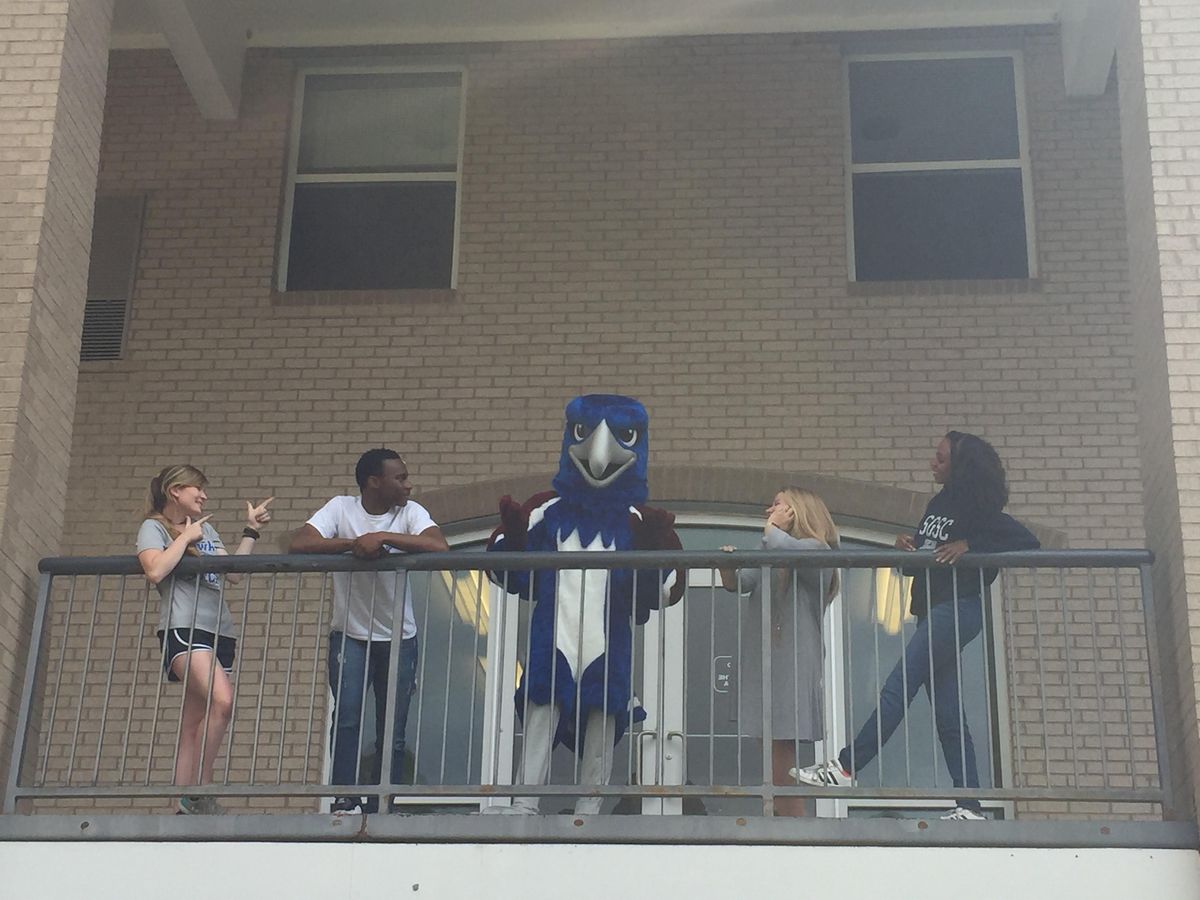 Explore And Tour South Georgia State College 2022 Douglas Campus explore-and-tour-south-georgia-state-college-2022-douglas-campus