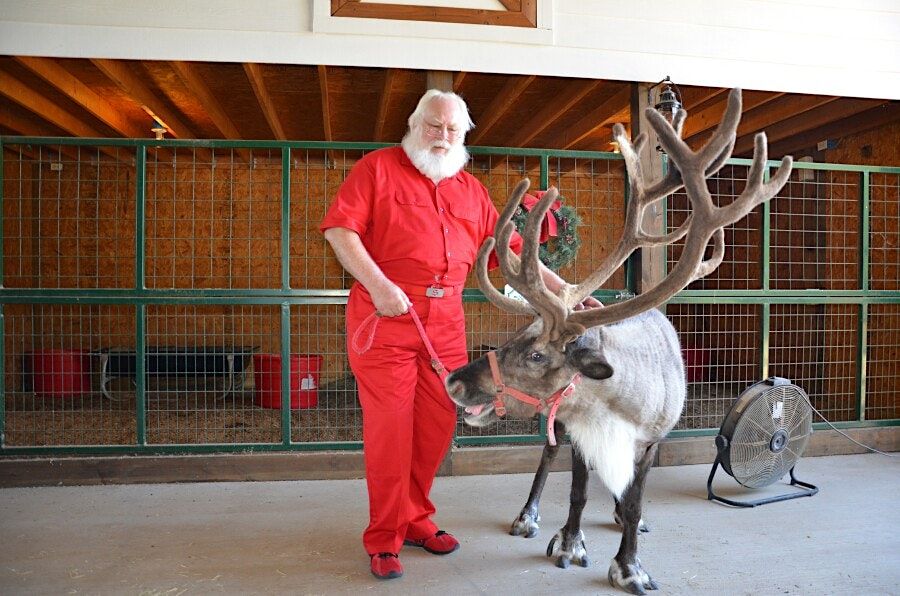 REAL REINDEER REAL SNOW HOLIDAY PARTY SOUTH FLORIDA 5801 Congress Ave 
