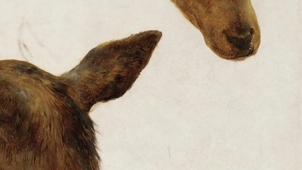 Max García Conover, Haley Heynderickx in Brattleboro, 30 April | Event in Brattleboro | AllEvents