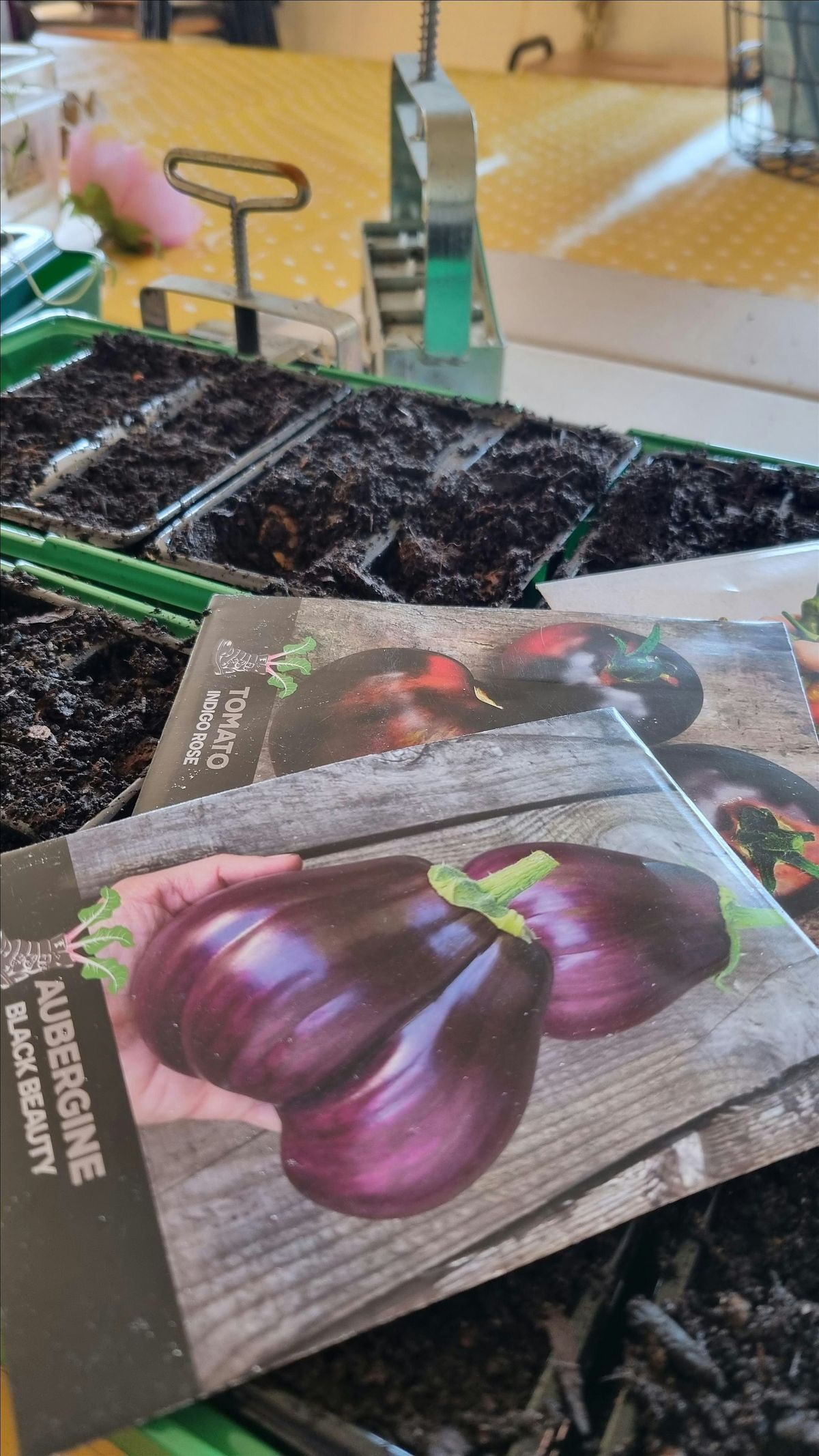 5 Week Gardening Workshop With The Gardening Lady (Hands On), 13 January | Event in Penwortham, Preston | AllEvents