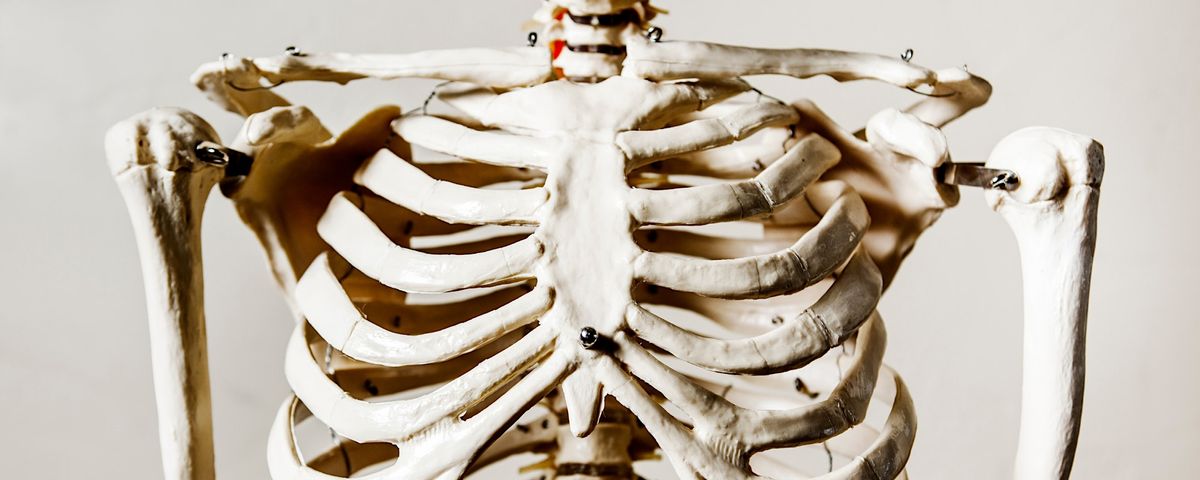 Rib Cage Release Intensive - 13 CEU Hours, Sacred Beings, Valley City ...