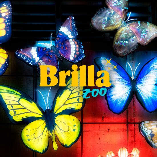 Brilla Zoo Festival, 5 December | Event in Getafe | AllEvents