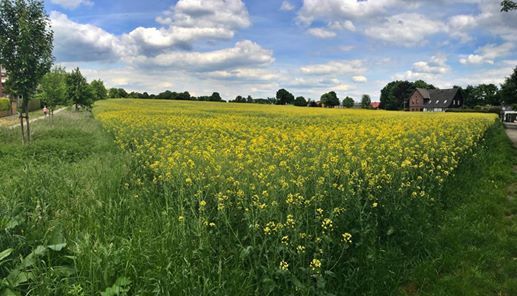Ideenwerkstatt Zur Kommunalwahl 2020 At Heinrich Pardon Haus