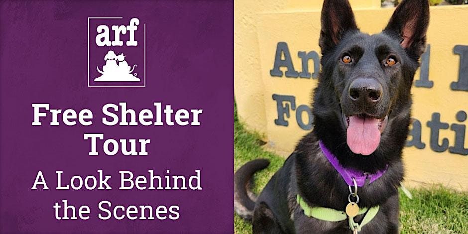 Free Behind-the-Scenes Tour of ARF, Animal Rescue Foundation, Walnut ...