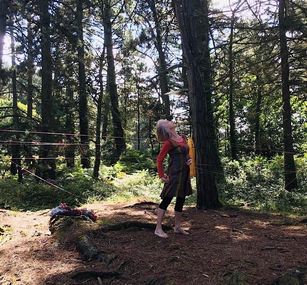 Tree Together As One Woodland, Milford House, Borrisokane