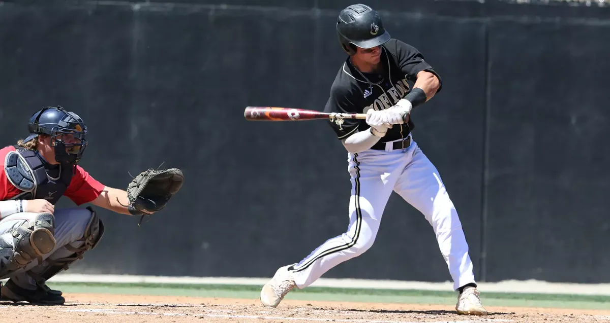 Wofford Terriers at East Tennessee State Buccaneers Baseball | Event in Johnson City | AllEvents