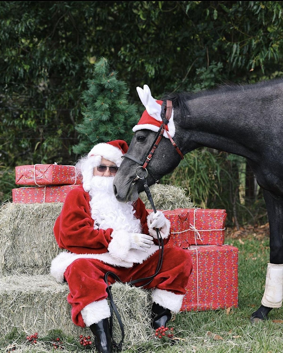 Santa Photos with your Horse Samford with Equipad!, Samford