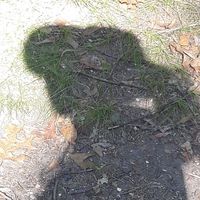 User profile photo