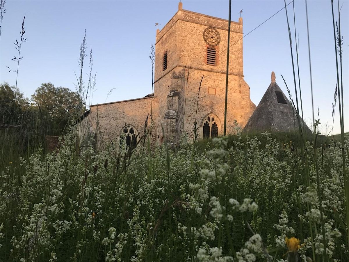 Managing churchyards and community green spaces for wildlife, Holy ...