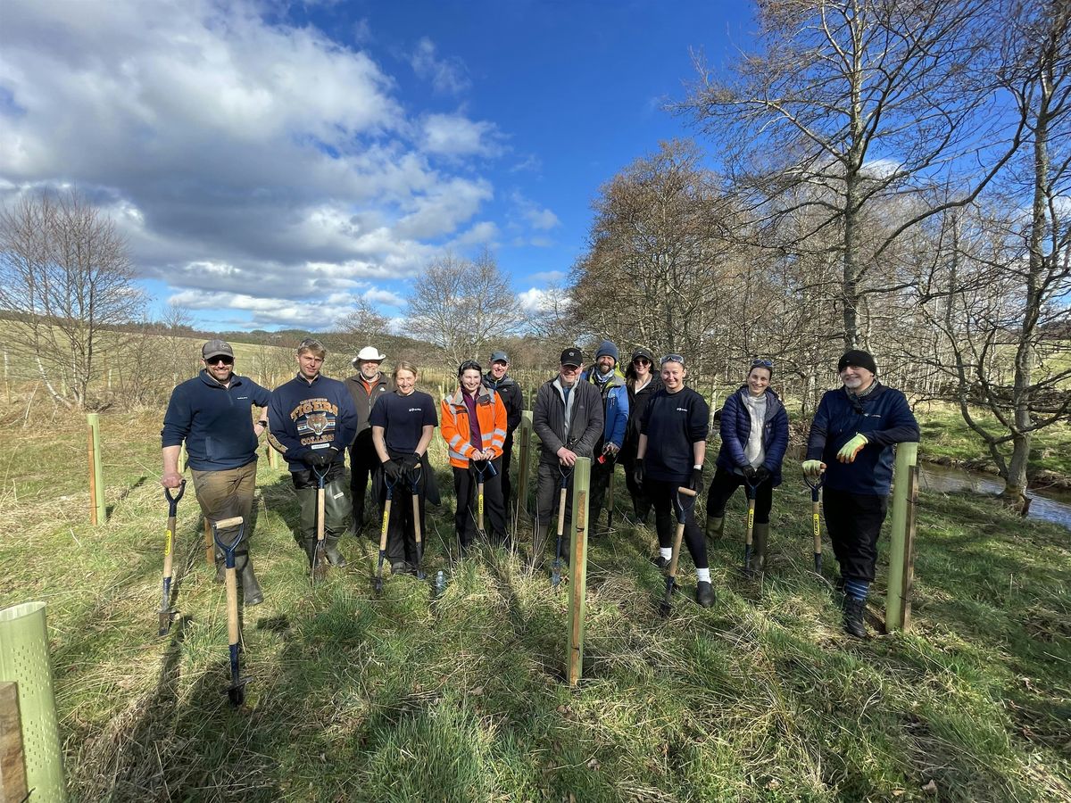 River Dee Trust Volunteer Day - Tree Planting Fri 5th Dec at Glen Muick, 5 December | Event in Ballater | AllEvents