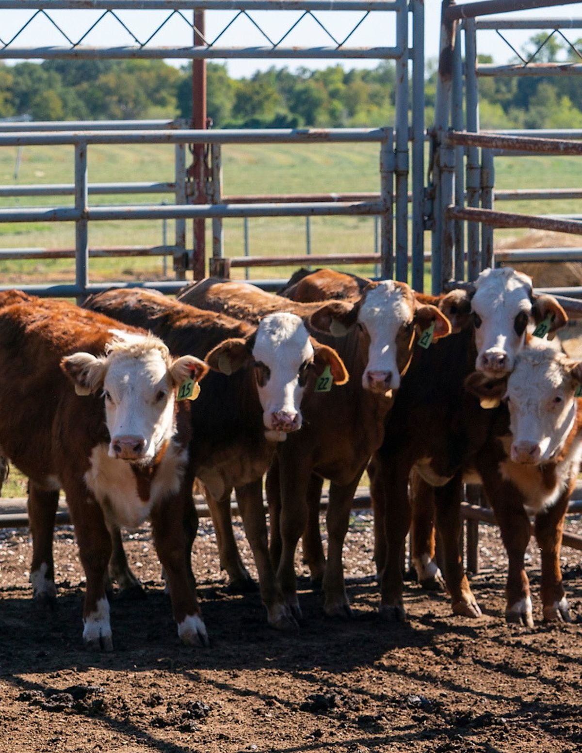Southeast Texas Beef Symposium & Trade Show, Winnie Stowell Community