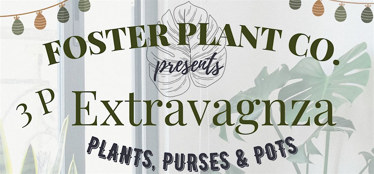 Foster Plant Co. 3P Extravaganza, Delphos Eagles, 3 August 2024