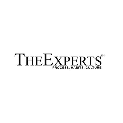 TheExperts™