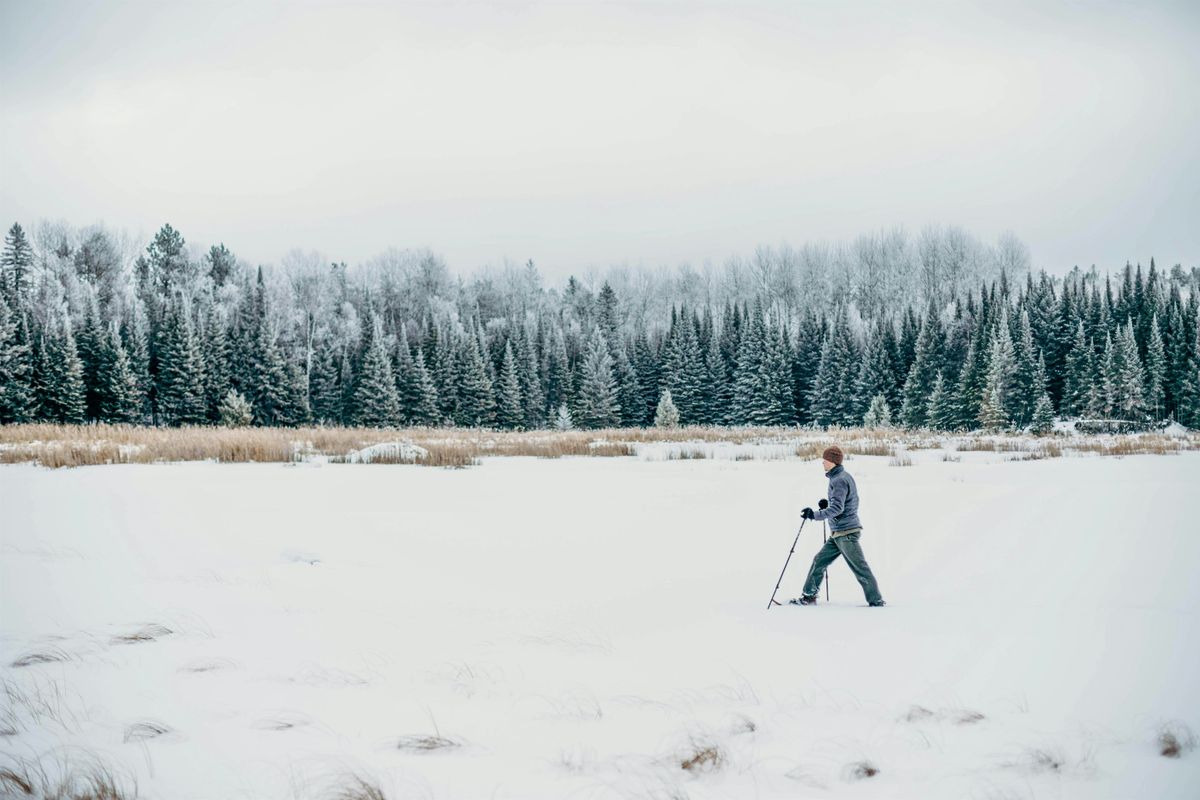 Wild Teaching and Learning: Winter Tree ID, 25 January | Event in Duluth | AllEvents