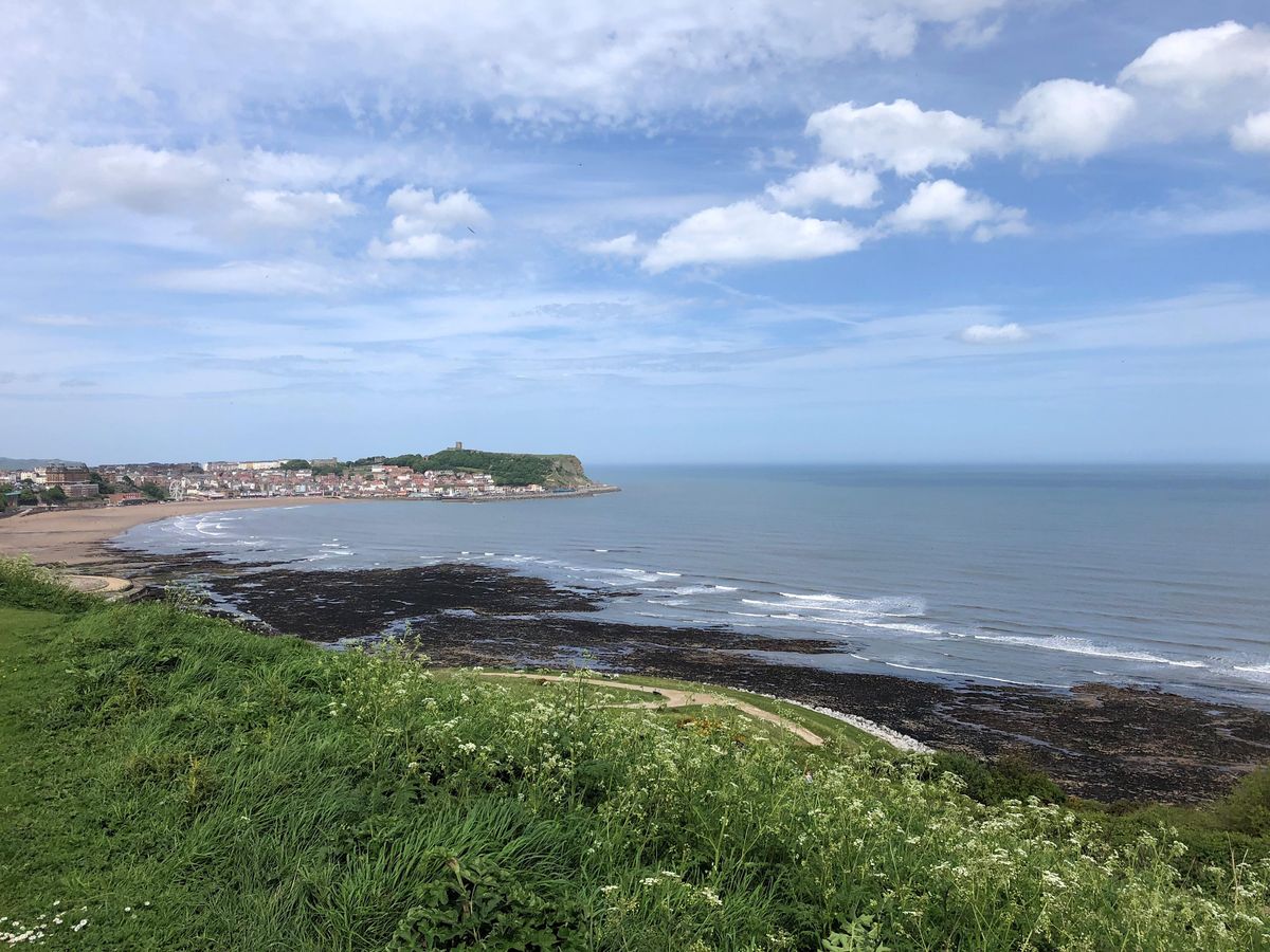 Dinosaur Footprints Walk, The Clock Cafe, Scarborough, December 3 to
