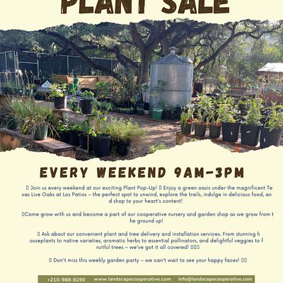 TLC Plant Sale PopUp, Los Patios, San Antonio, September 16 2023