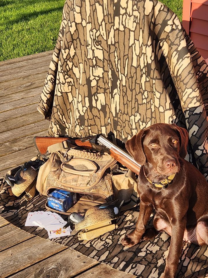 Annual Decoy Party, Ventura Community Center, 5 August 2023 AllEvents.in