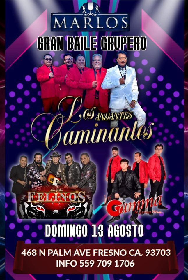 Los andantes CAMINANTES, Alan y sus FELINOS, Grupo GAMMA, Marlo's Club