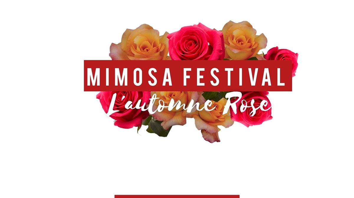 Mimosa Festival Memphis Fall Edition, Mimosas on Main Court Square