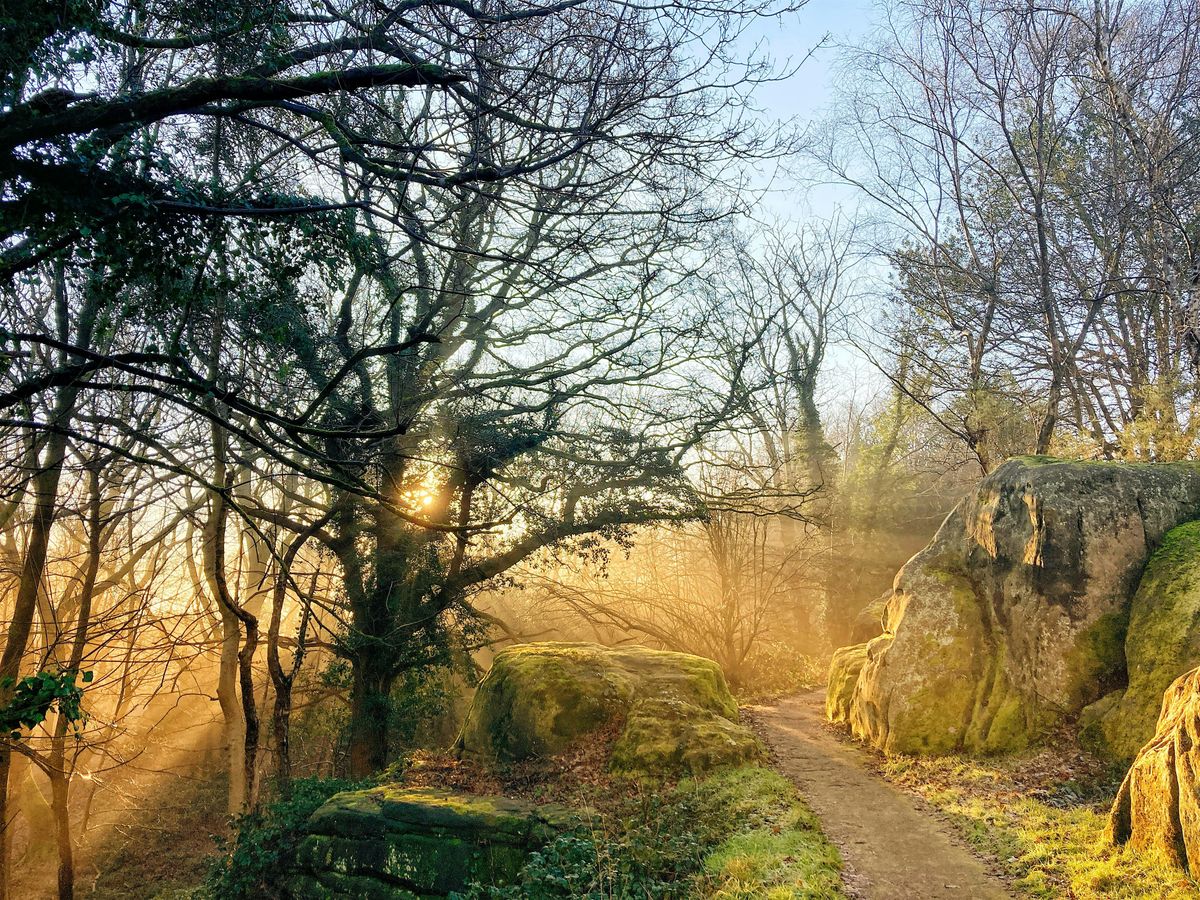 Walk Tonbridge Club: The High Rocks, Happy Valley and The Commons, 22 February | Event in Royal Tunbridge Wells