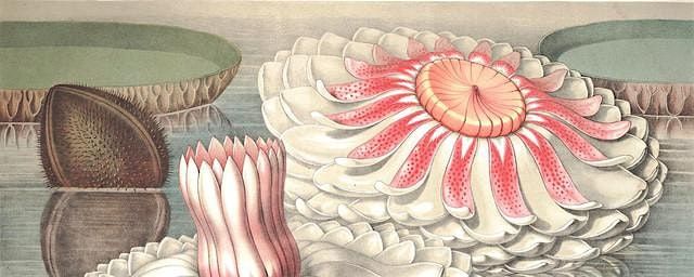 Realising Divine Widsom  - public talk all welcome, 22 November | Event in Adelaide | AllEvents