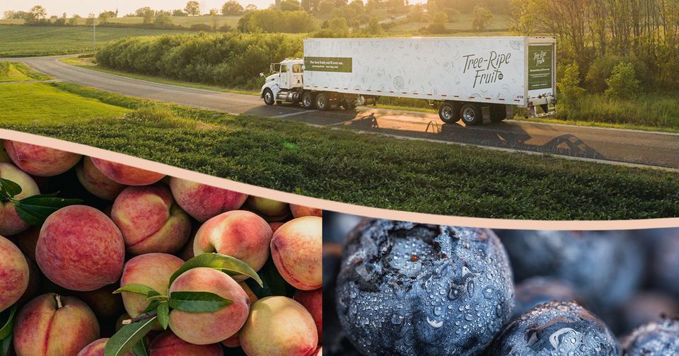 Fresh Peach Stop Galesburg, IL , Farm King, Knoxville, 25 July 2023