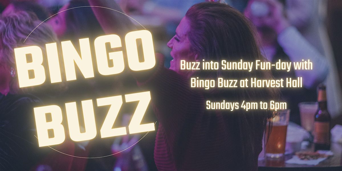 Bingo Buzz | Sunday Fun at Harvest Hall! | Event in Grapevine | AllEvents