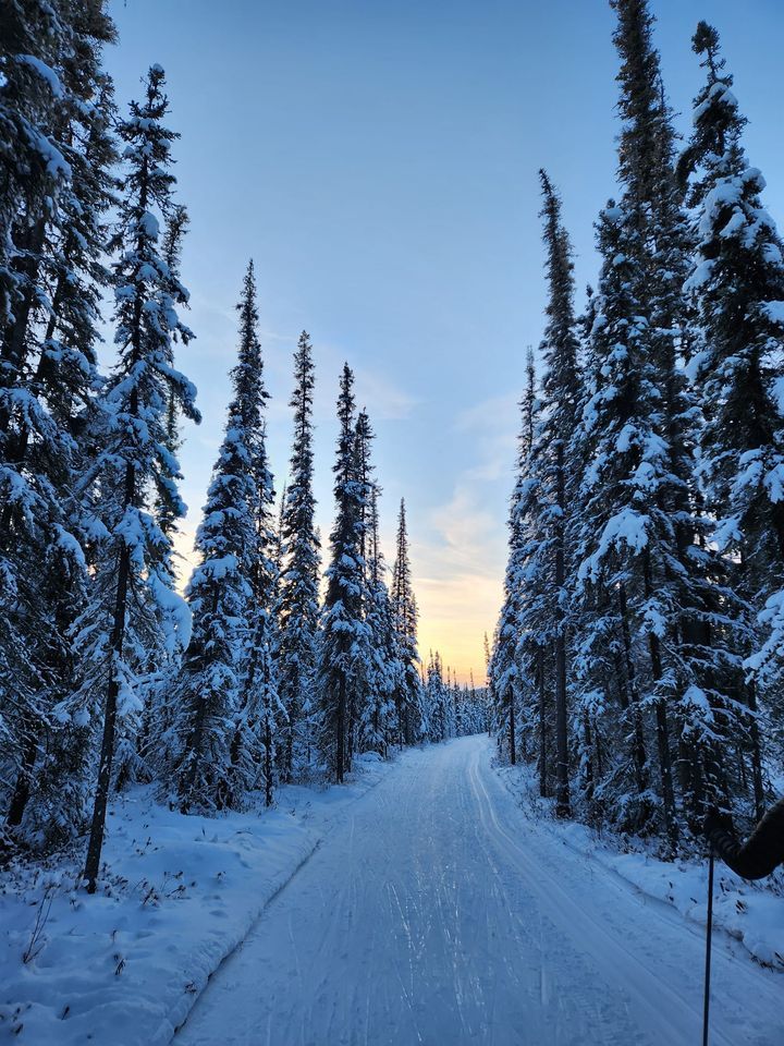 Beginner Classic XC Ski Lesson, Birch Hill Recreation Area, Fairbanks