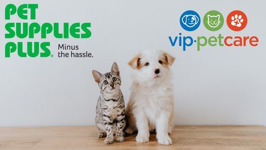 vip petcare clinic pet supplies plus