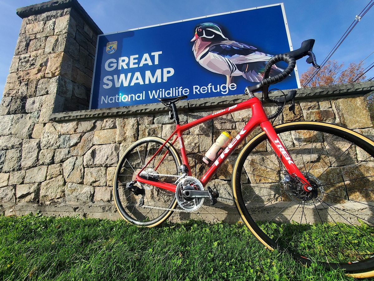 Great Swamp Sundays Group Bike Ride, Trek Bicycle Stirling, Long Hill