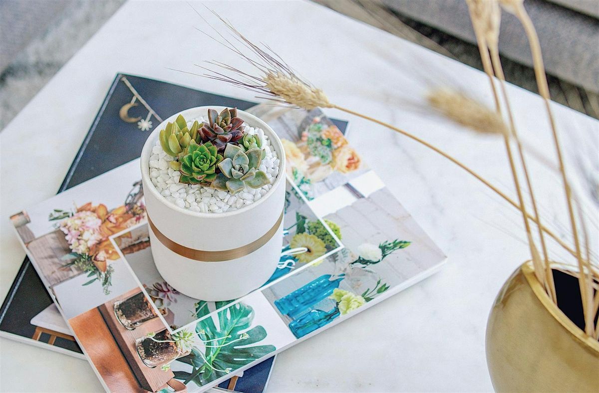 Succulent Arrangement Workshop Plants+Planter | Event in Markham | AllEvents