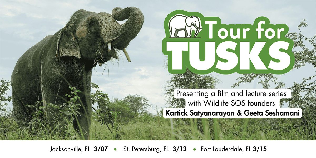 Tusk After Dusk: St. Petersburg, Florida, 13 March | Event in St. Petersburg | AllEvents