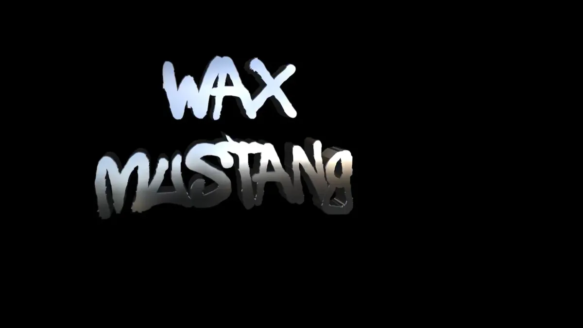 wax mustang, L.A.B., The Bamboos, Tiki Taane, Bud Rokesky, Drax Project, Thundamentals, The Dreggs in Sydney, 1 May