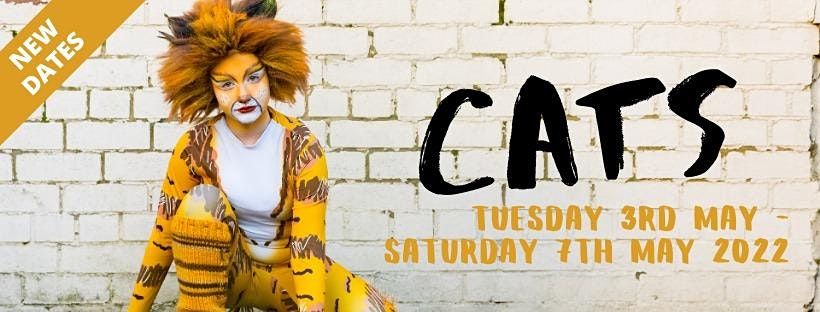 Lmyt Cats Sat 7th May 2022 Evening 7 30pm Lichfield Cathedral May 7 2022 Allevents In All Events In May 2022