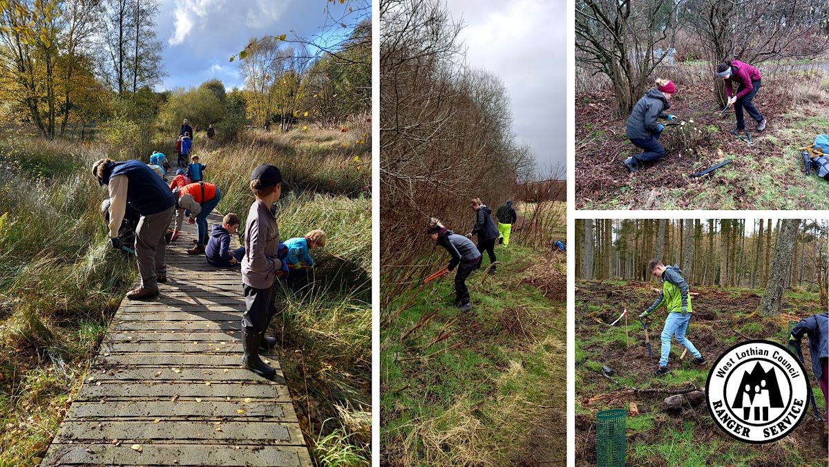 Conservation Volunteers - Uphall Community Woodland, Uphall Community ...