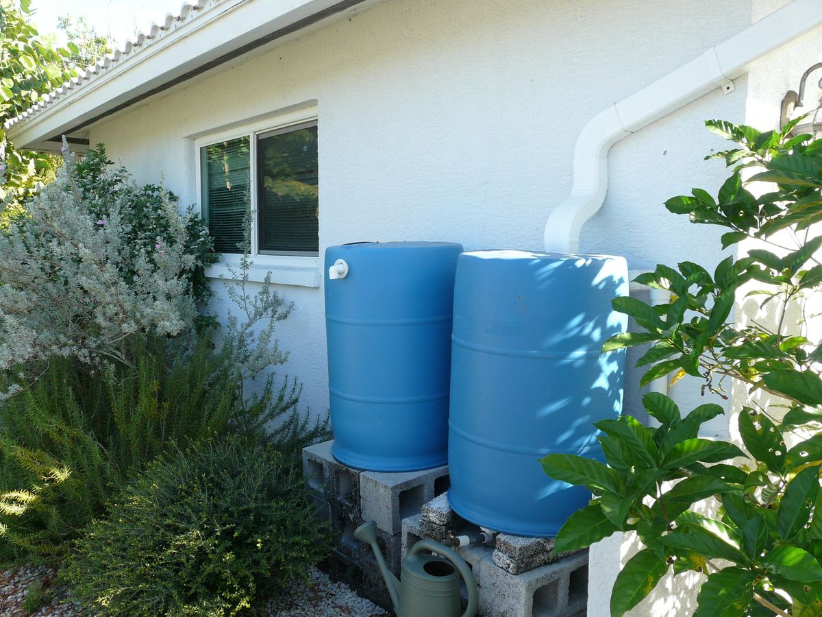 Rain Barrel Englewood Sports Complex, September 18 2021