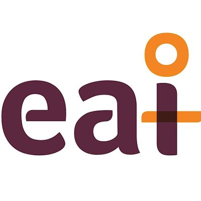 Endometriosis Association of Ireland logo