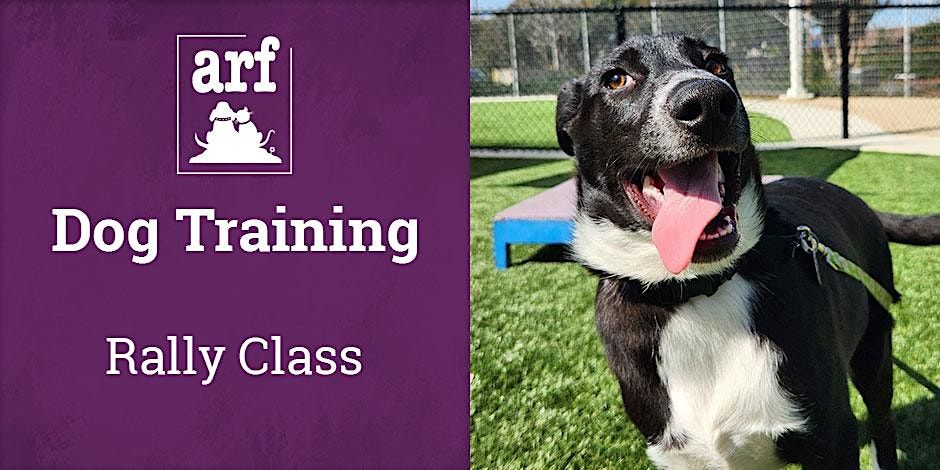 ARF Competition Rally, Animal Rescue Foundation, Walnut Creek, 1 ...