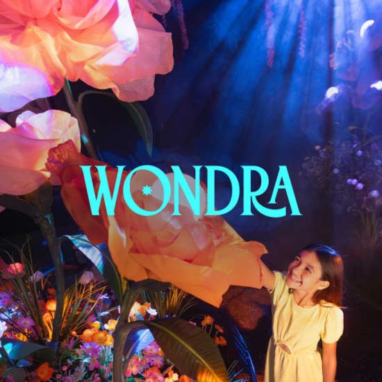 Wondra: Immerse yourself in the magic of nature, 29 November | Event in Schaumburg | AllEvents