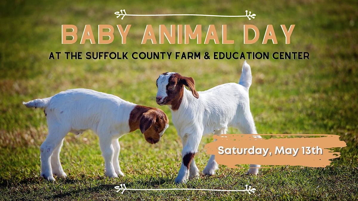 Baby Animal Day at The Suffolk County Farm, Suffolk County Farm and