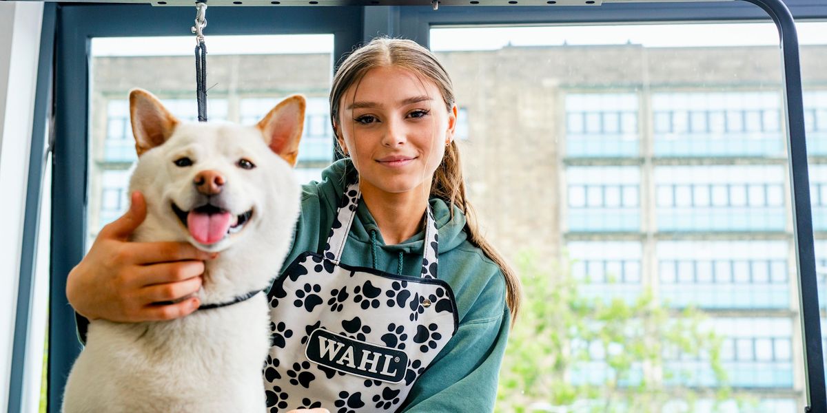 Animal Care - After School Club, Inspire Centre, Calderdale College, Halifax, February 22 to March 8 Animal Care - After School Club, Inspire Centre, Calderdale College, Halifax, February 22 to March 8