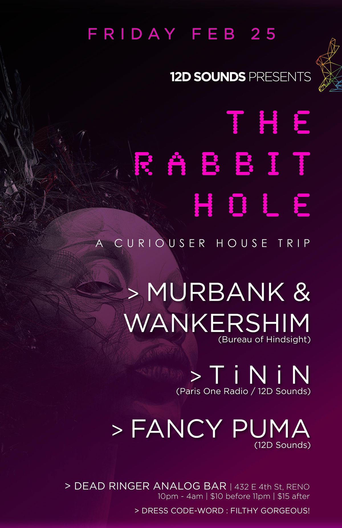 THE RABBIT HOLE II, Dead Ringer Analog Bar, Reno, 25 February to 26 ...