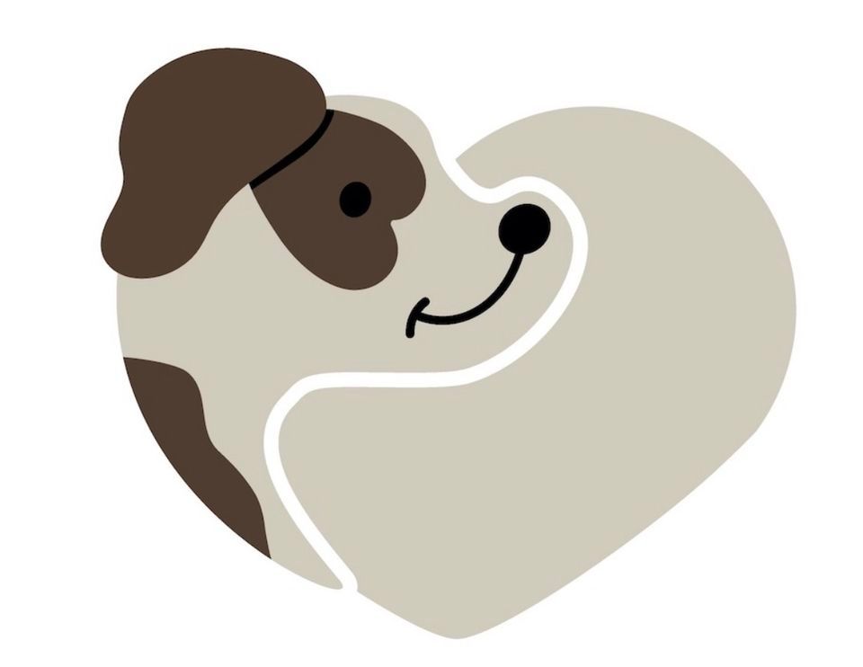 Australian Labradoodles Play & Cuddles, Grappenhall, Warrington