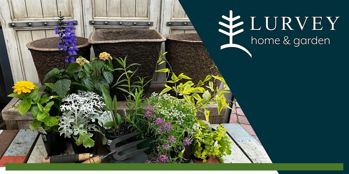 Hands-On Pollinator Potting Class - Afternoon, Lurvey Home & Garden Center, Des Plaines, 15 June ...