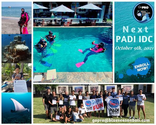 28 Day PADI Instructor Development Course Go Pro Blue 28 Day PADI Instructor Development Course Go Pro Blue